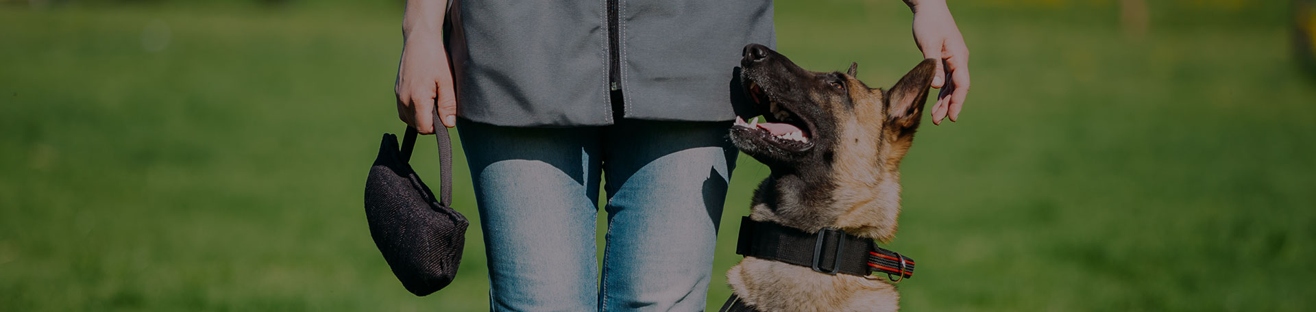 Séances de suivi d’éducation canine dans l’Indre
